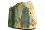 Free-Standing, Gary Green Jasper (Larsonite) Bog Wood - Oregon #334849-1